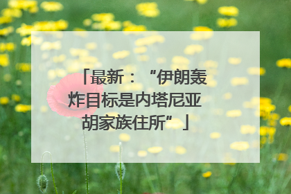 最新：“伊朗轰炸目标是内塔尼亚胡家族住所”