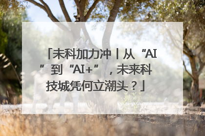 未科加力冲丨从“AI”到“AI+”，未来科技城凭何立潮头？