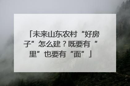 未来山东农村“好房子”怎么建？既要有“里”也要有“面”