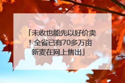 未收也能先以好价卖！全省已有70多万亩新麦在网上售出
