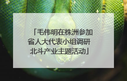 毛伟明在株洲参加省人大代表小组调研北斗产业主题活动