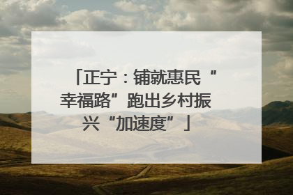 正宁：铺就惠民“幸福路”跑出乡村振兴“加速度”