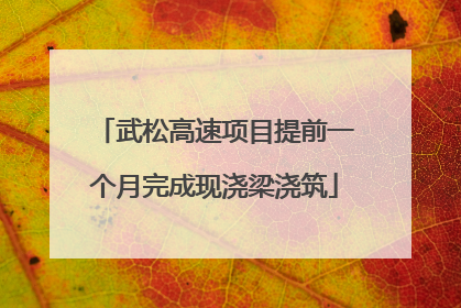 武松高速项目提前一个月完成现浇梁浇筑