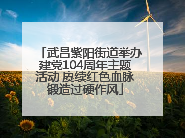 武昌紫阳街道举办建党104周年主题活动 赓续红色血脉锻造过硬作风