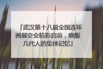 武汉第十八届全国连环画展交会精彩启幕，唤醒几代人的集体记忆