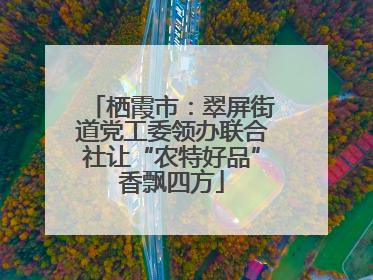 栖霞市：翠屏街道党工委领办联合社让“农特好品”香飘四方