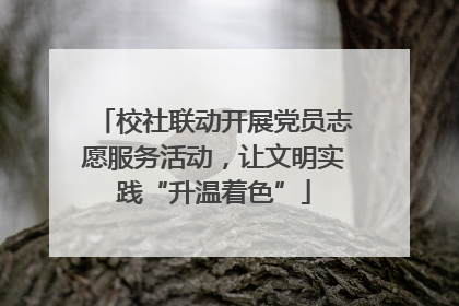 校社联动开展党员志愿服务活动，让文明实践“升温着色”