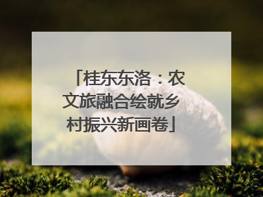 桂东东洛：农文旅融合绘就乡村振兴新画卷