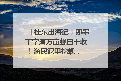 桂东出海记丨即墨丁字湾万亩蚬田丰收！渔民泥里挖蚬，一天上岸过千斤