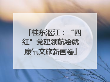 桂东沤江：“四红”党建领航绘就康氧文旅新画卷