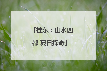 桂东：山水四都 夏日探奇