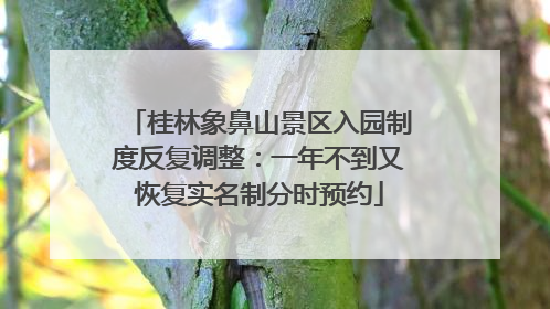 桂林象鼻山景区入园制度反复调整：一年不到又恢复实名制分时预约