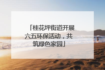 桂花坪街道开展六五环保活动，共筑绿色家园