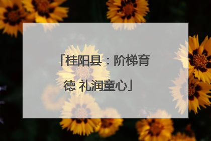 桂阳县：阶梯育德 礼润童心