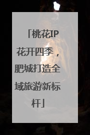 桃花IP花开四季，肥城打造全域旅游新标杆