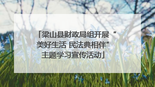 梁山县财政局组开展“美好生活 民法典相伴”主题学习宣传活动