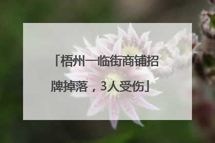 梧州一临街商铺招牌掉落，3人受伤