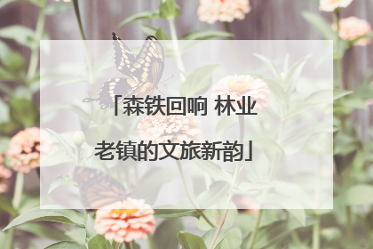 森铁回响 林业老镇的文旅新韵