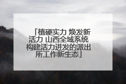 植硬实力 焕发新活力 山西全域系统构建活力迸发的派出所工作新生态