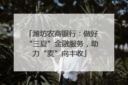 潍坊农商银行：做好“三夏”金融服务，助力“麦”向丰收