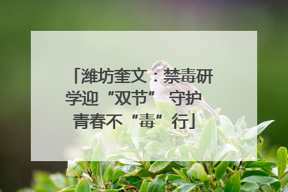 潍坊奎文：禁毒研学迎“双节” 守护青春不“毒”行