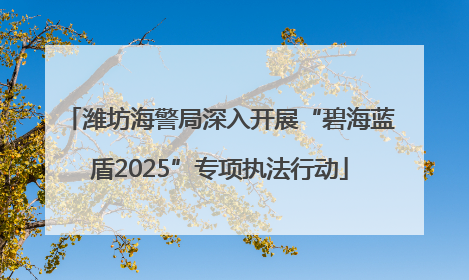 潍坊海警局深入开展“碧海蓝盾2025”专项执法行动