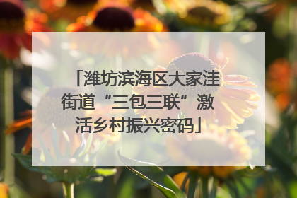 潍坊滨海区大家洼街道“三包三联”激活乡村振兴密码