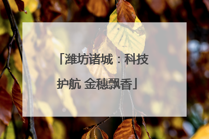 潍坊诸城：科技护航 金穗飘香