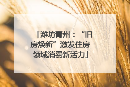 潍坊青州：“旧房焕新”激发住房领域消费新活力