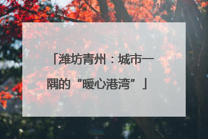 潍坊青州：城市一隅的“暖心港湾”