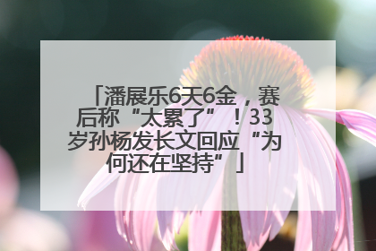 潘展乐6天6金，赛后称“太累了”！33岁孙杨发长文回应“为何还在坚持”