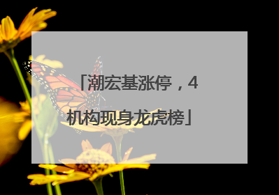 潮宏基涨停，4机构现身龙虎榜