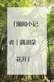 潮闻小记者｜遇油菜花开