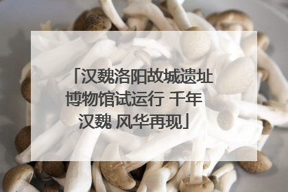 汉魏洛阳故城遗址博物馆试运行 千年汉魏 风华再现