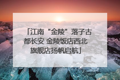 江南“金陵”落子古都长安 金陵饭店西北旗舰店扬帆启航