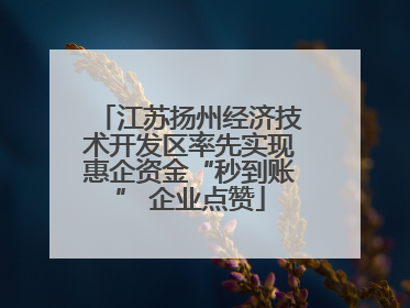 江苏扬州经济技术开发区率先实现惠企资金“秒到账” 企业点赞
