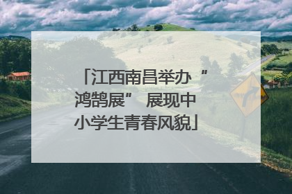 江西南昌举办“鸿鹄展” 展现中小学生青春风貌