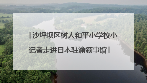 沙坪坝区树人和平小学校小记者走进日本驻渝领事馆