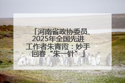 河南省政协委员、2025年全国先进工作者朱青霞：妙手回春“朱一针”