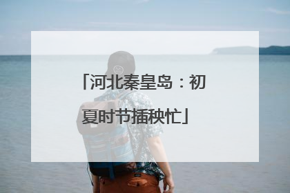 河北秦皇岛：初夏时节插秧忙