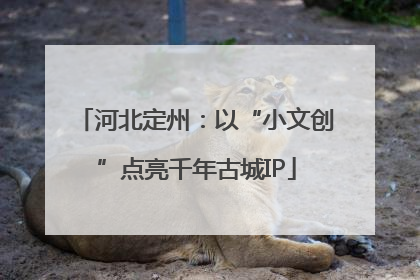 河北定州：以“小文创”点亮千年古城IP