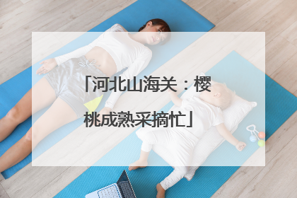 河北山海关：樱桃成熟采摘忙