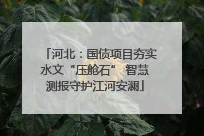 河北：国债项目夯实水文“压舱石” 智慧测报守护江河安澜