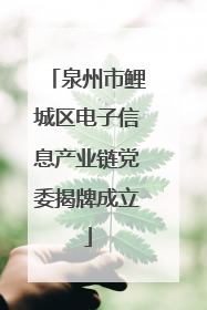 泉州市鲤城区电子信息产业链党委揭牌成立