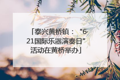 泰兴黄桥镇：“6·21国际乐器演奏日”活动在黄桥举办