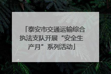 泰安市交通运输综合执法支队开展“安全生产月”系列活动