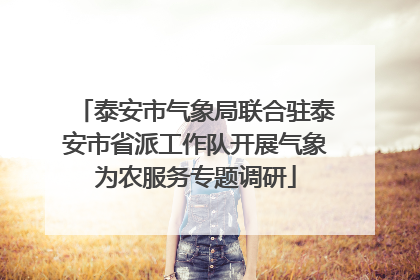 泰安市气象局联合驻泰安市省派工作队开展气象为农服务专题调研