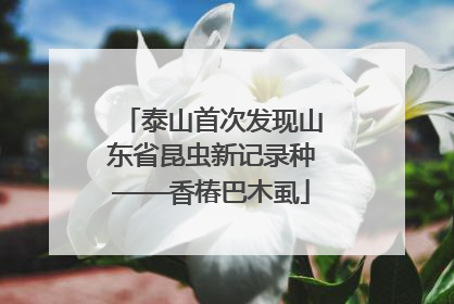 泰山首次发现山东省昆虫新记录种——香椿巴木虱