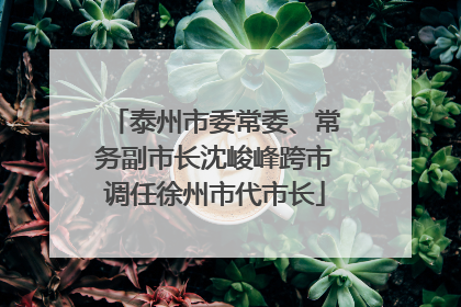 泰州市委常委、常务副市长沈峻峰跨市调任徐州市代市长
