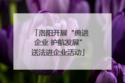 洛阳开展“典进企业 护航发展”送法进企业活动